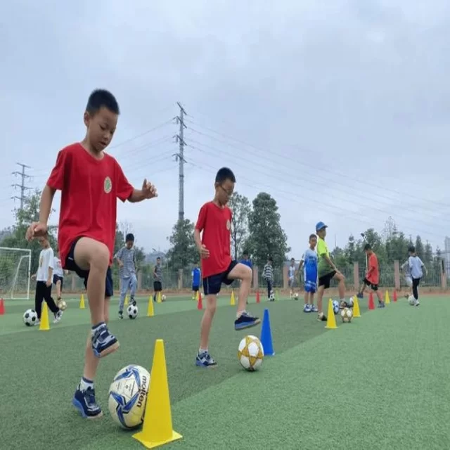 电竞季后赛战术变化视角解析：第308组的潜在亮点